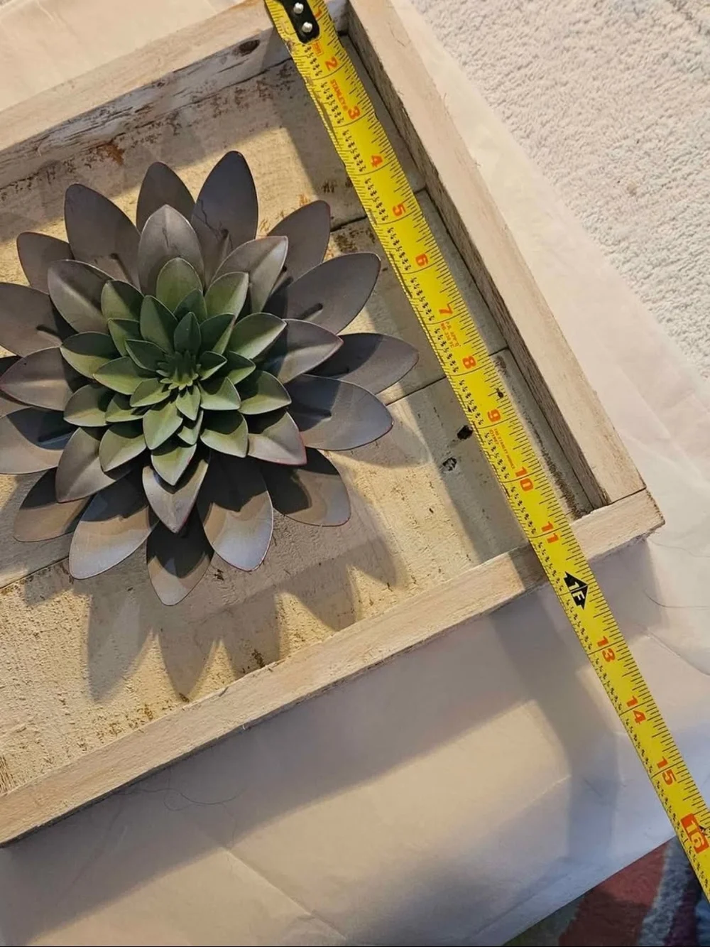 Wall Succulent Shadow Box Decor - Green & Gray